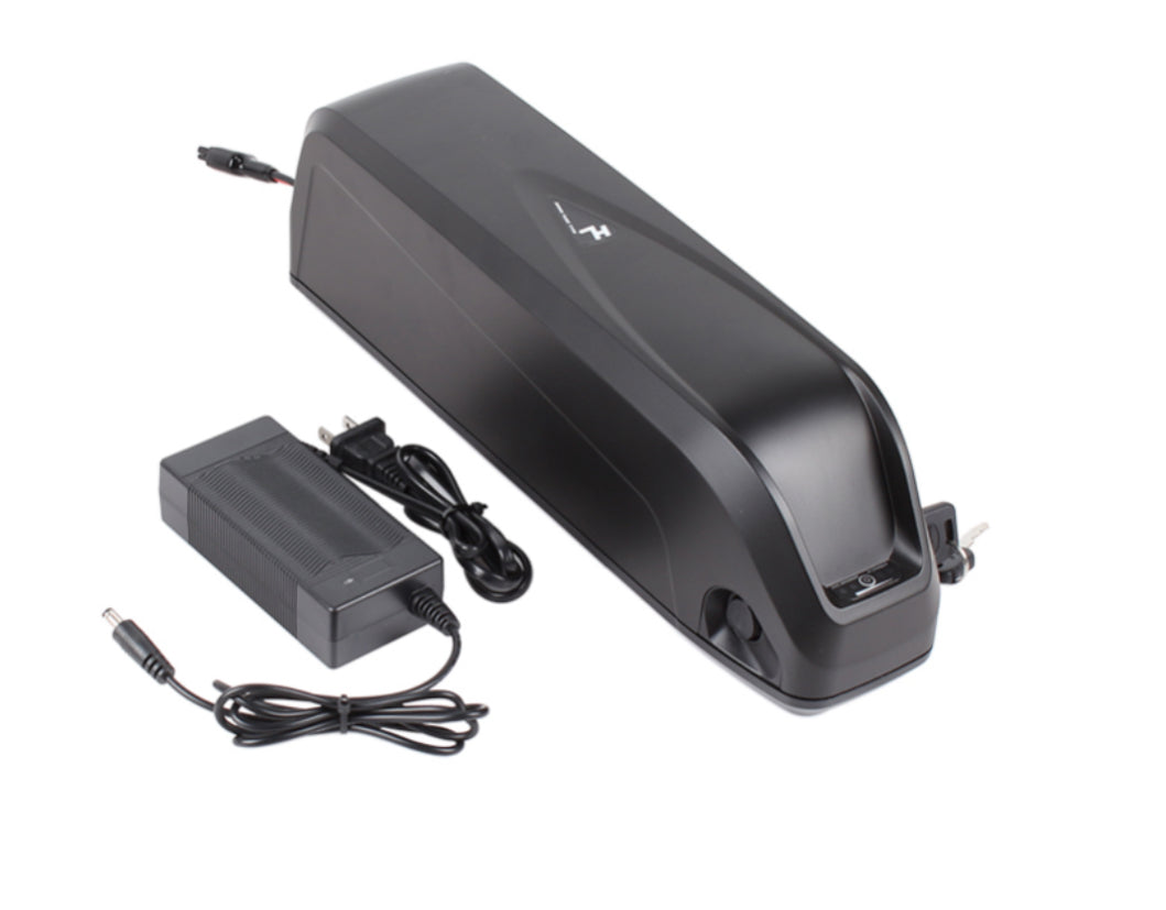 48v 1000w Battery